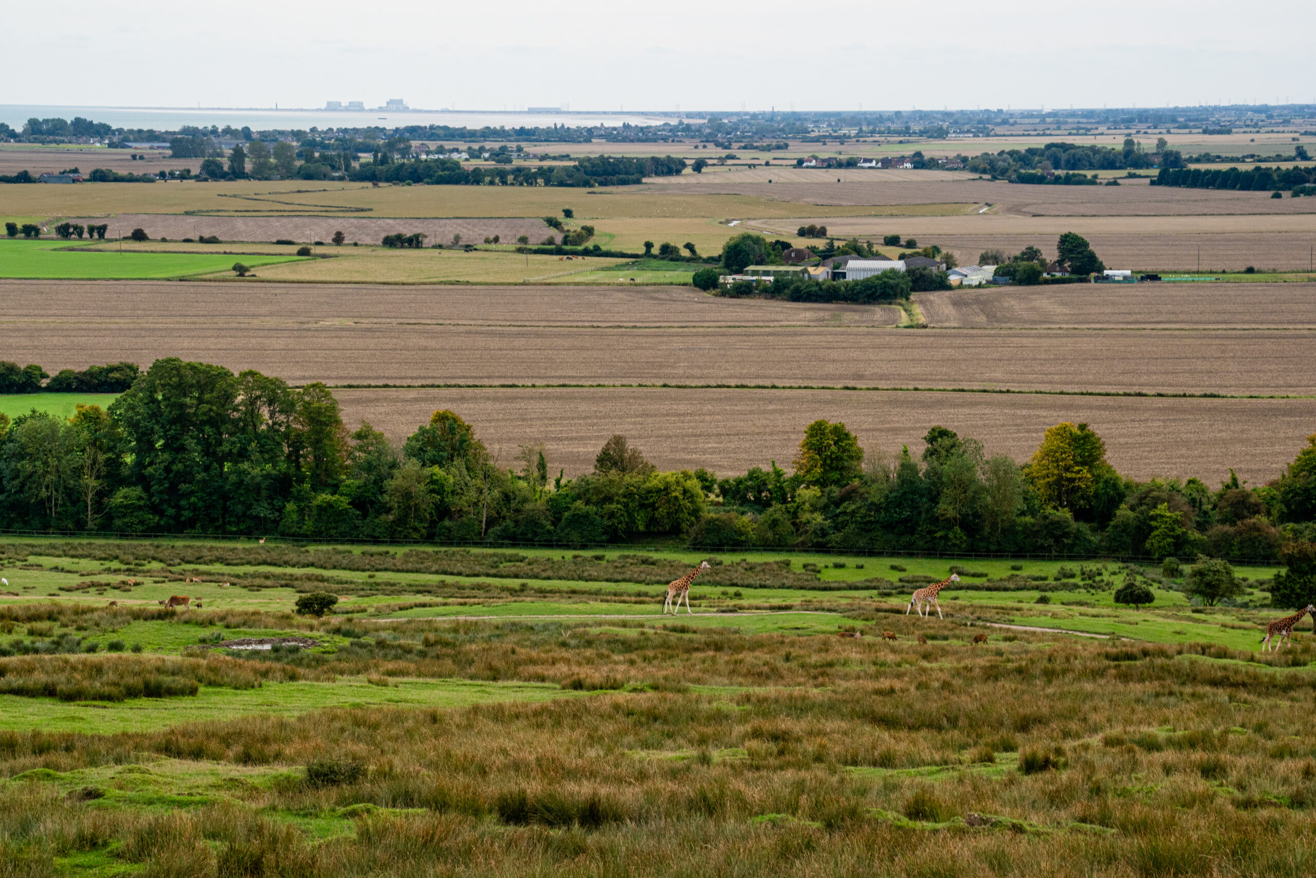 views taken by Port Lympne wedding photographer 